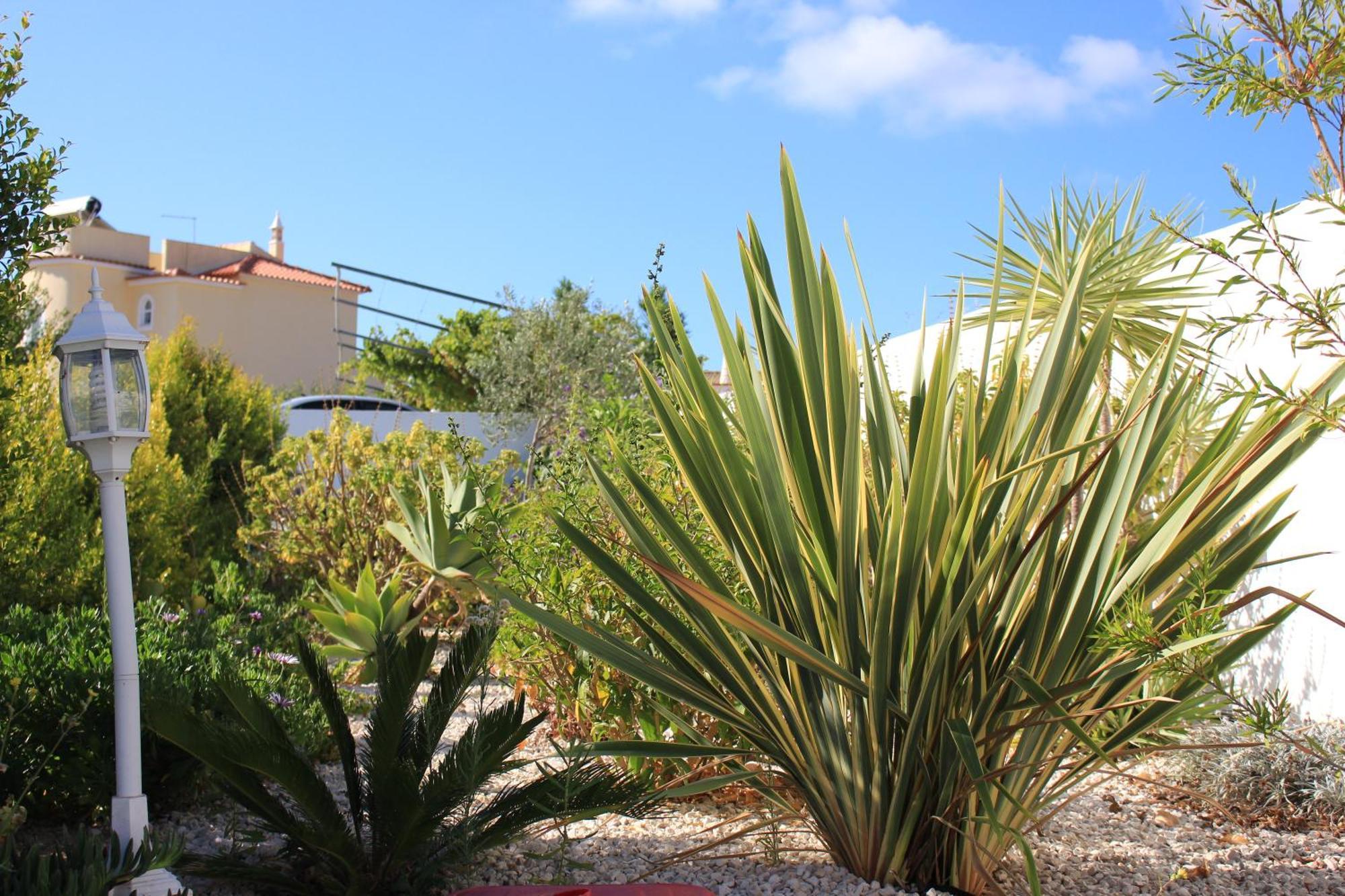 Sunshine Hotel Albufeira Eksteriør billede