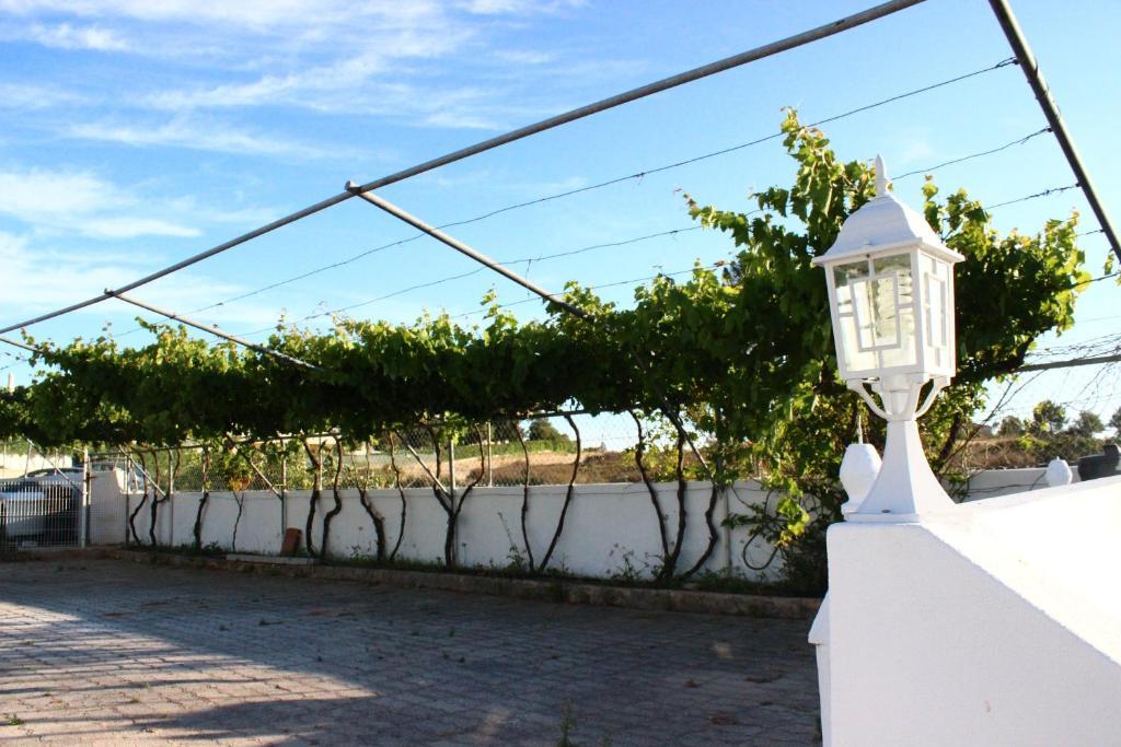 Sunshine Hotel Albufeira Eksteriør billede